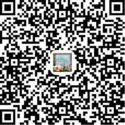 QQ99999