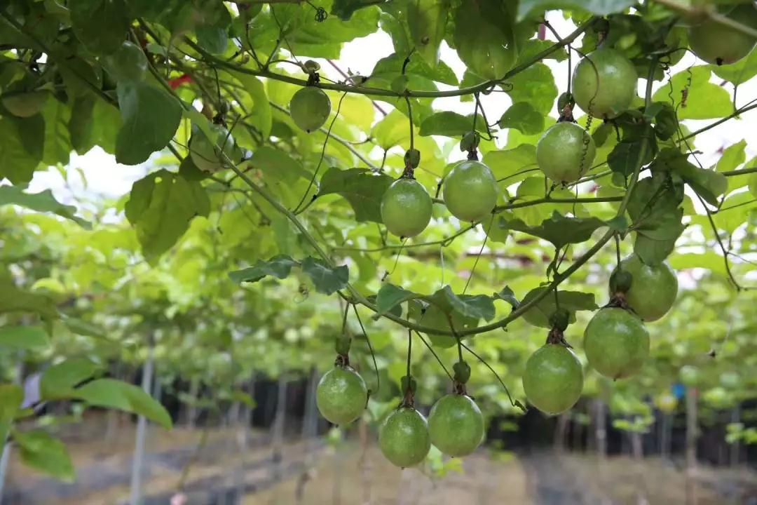 微信图片_20190523181952 微信图片_20190523181952