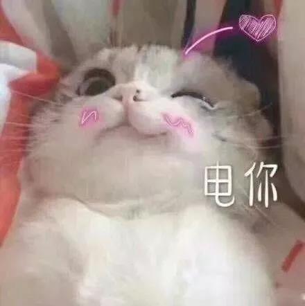 微信图片_20190531090657