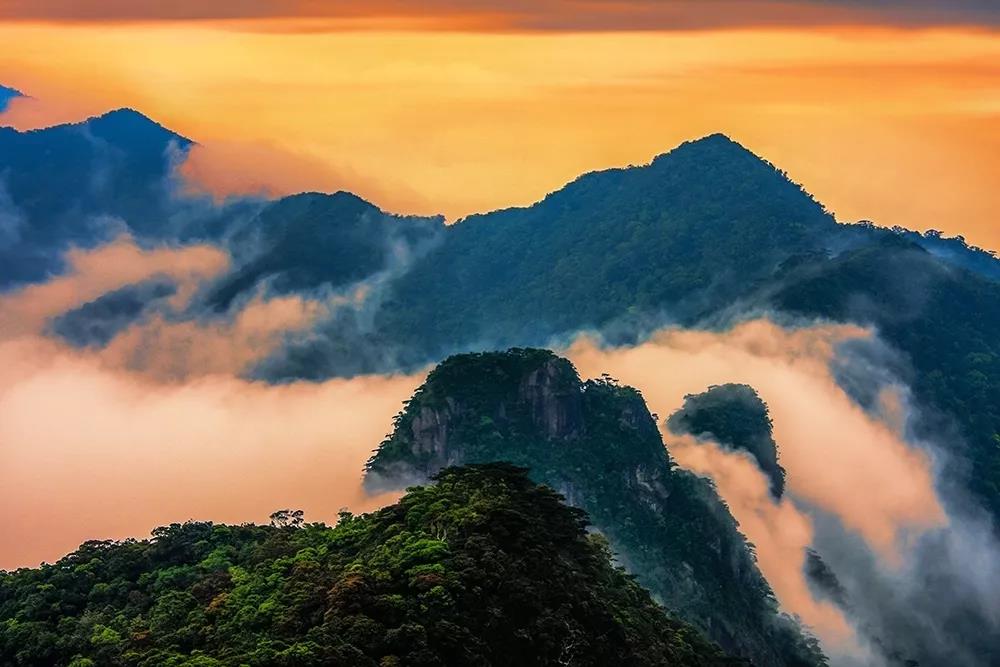 微信图片_20190624180119 微信图片_20190624180119