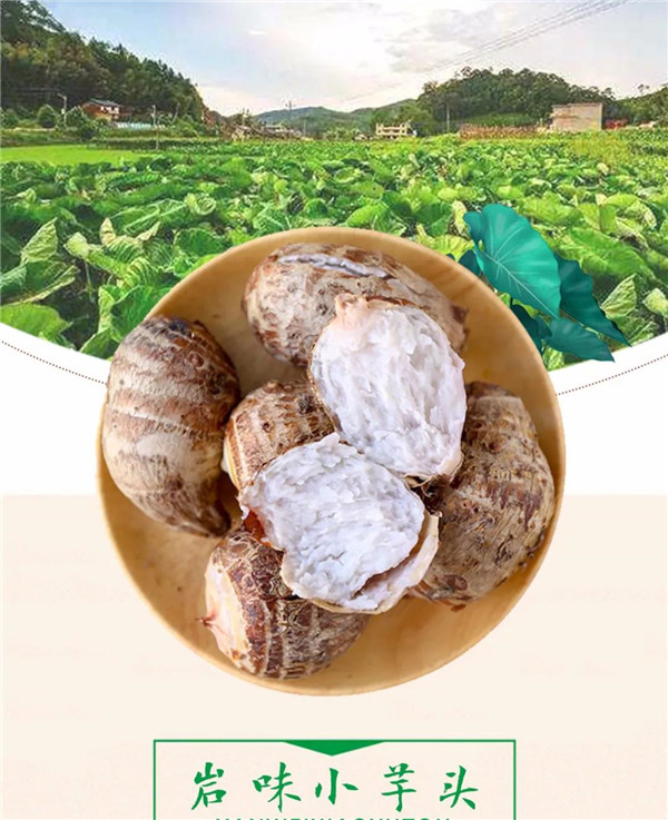 微信图片_20190709171516 微信图片_20190709171516