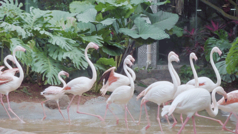 微信图片_20190718153623 微信图片_20190718153623