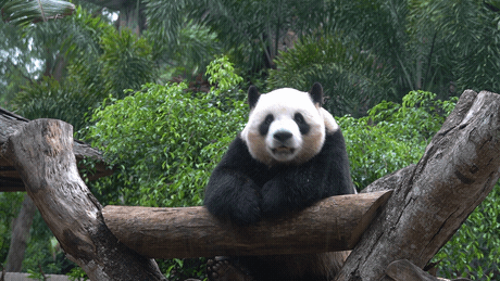 微信图片_20190718153547 微信图片_20190718153547