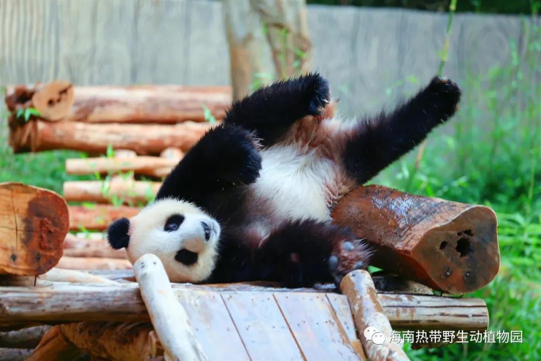 微信图片_20190718153527 微信图片_20190718153527