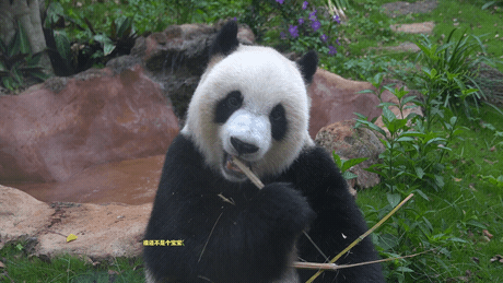 微信图片_20190718153627 微信图片_20190718153627