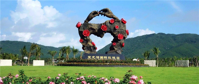 图片18 图片18