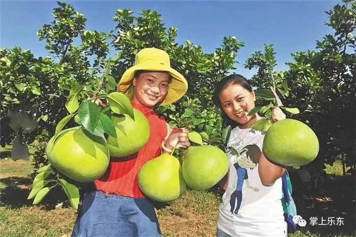 微信图片_20190801085350 微信图片_20190801085350