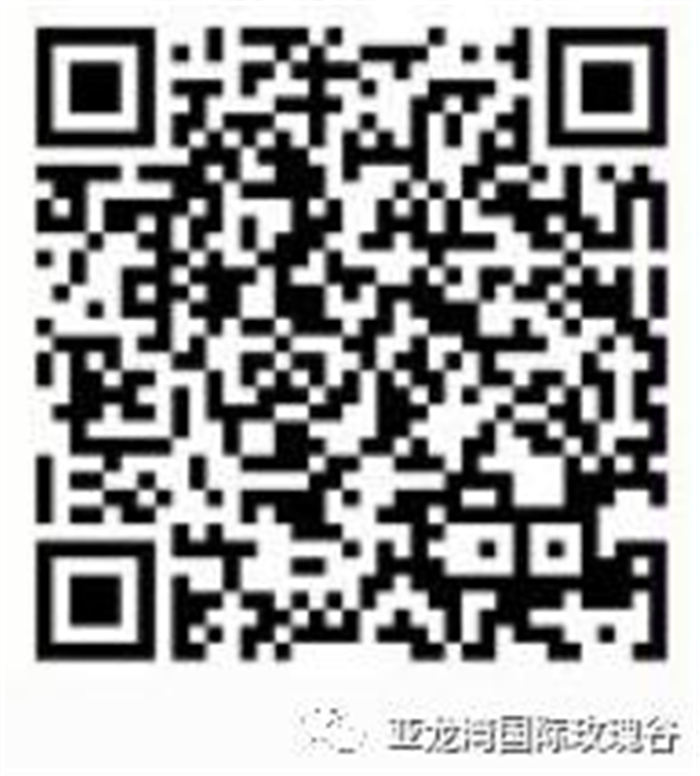 图片19 图片19