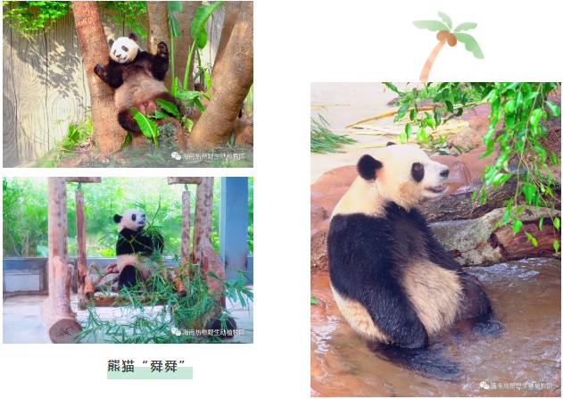 微信截图_20190803160219 微信截图_20190803160219