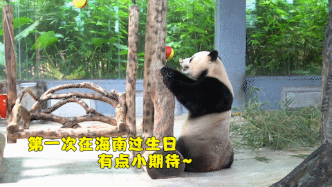 微信图片_20190803160247 微信图片_20190803160247