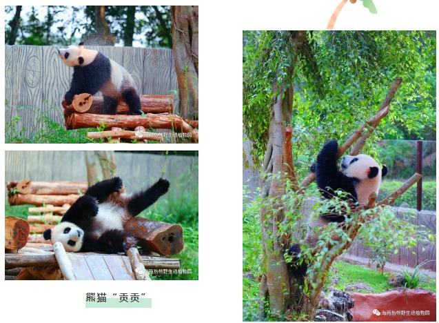 微信截图_20190803160159 微信截图_20190803160159