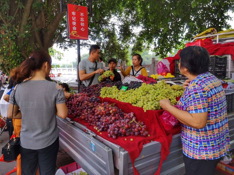 微信图片_20191012155835 微信图片_20191012155835