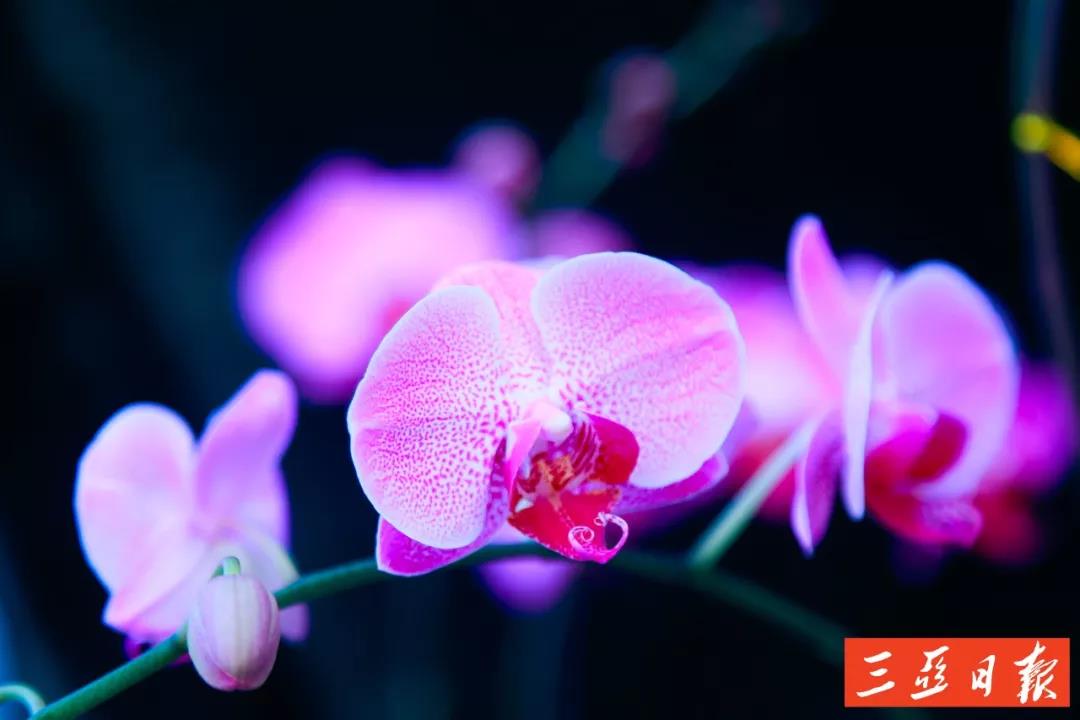 微信图片_20191205171638 微信图片_20191205171638