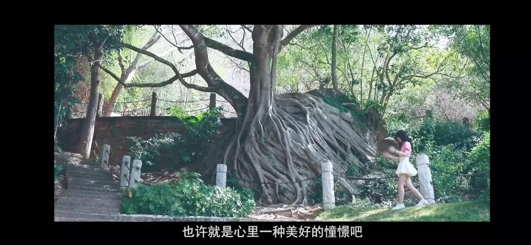 微信图片_20200320163433