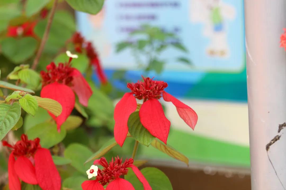 微信图片_20200326094202 微信图片_20200326094202