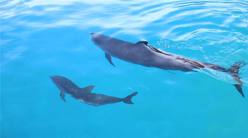 图片10 图片10
