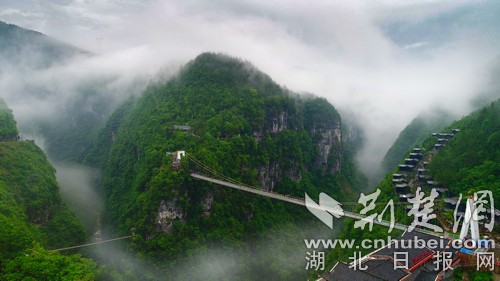 微信图片_20201209152940 微信图片_20201209152940