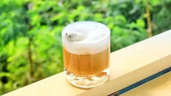 微信图片_20210304092104 微信图片_20210304092104